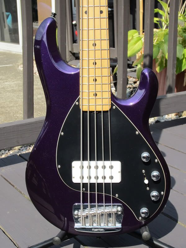 purple1.jpg