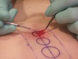 CircleCutting018.jpg image by fatalarray