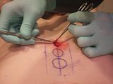 CircleCutting021.jpg image by fatalarray