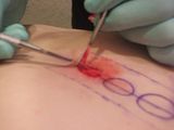 CircleCutting022.jpg image by fatalarray