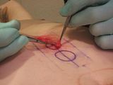 CircleCutting028.jpg image by fatalarray