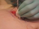 CircleCutting029.jpg image by fatalarray