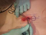 CircleCutting030.jpg image by fatalarray