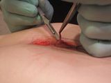 CircleCutting031.jpg image by fatalarray