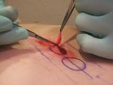CircleCutting032.jpg image by fatalarray