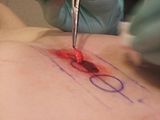 CircleCutting033.jpg image by fatalarray