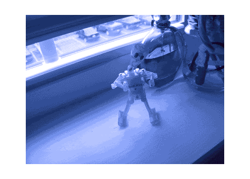 tinted gif