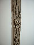 Bâton du Crâne (détail), 160cm