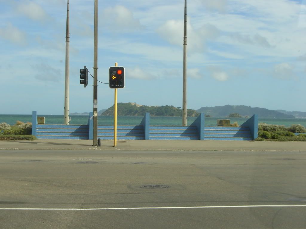 Nz Traffic Lights