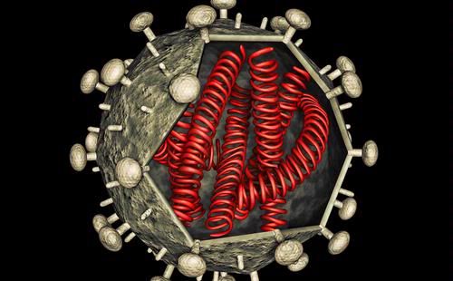 Amino Acids, Lock HIV Immune