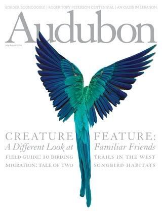Cover Majalah Terbaik Tahun 2009