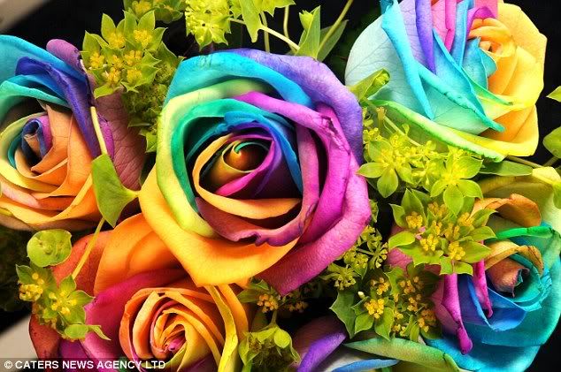 Rainbow Rose, Bunga Mawar Warna Pelangi !! Indah Banget Gan !! (+pic)