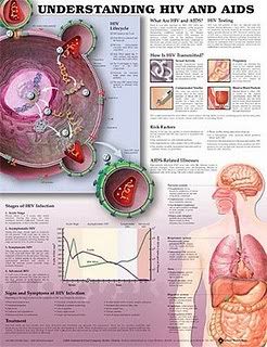 Modes of Transmission HIV