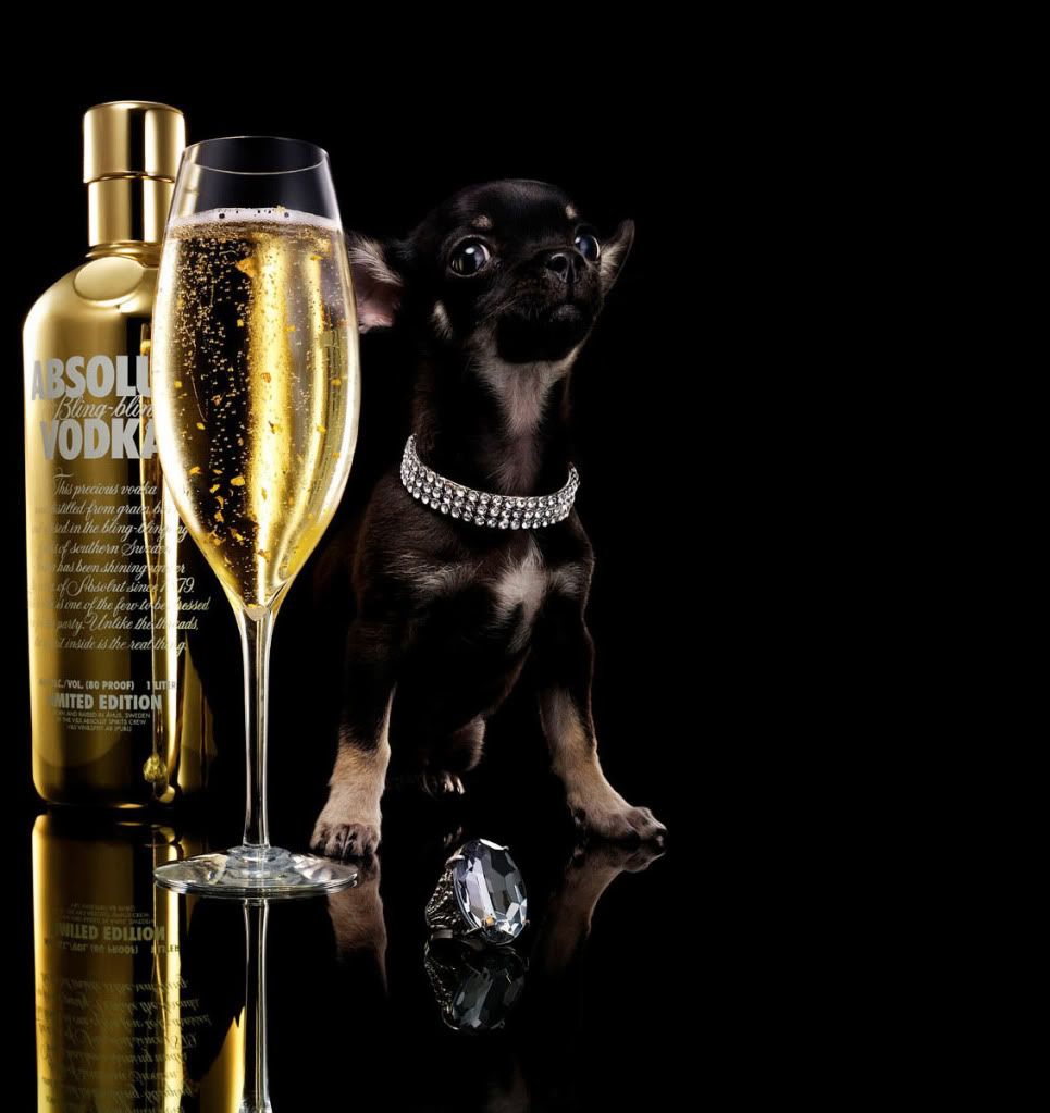 wallpapers de absolut vodka wallpapers de absolut vodka