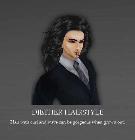 Diether hairstyle
