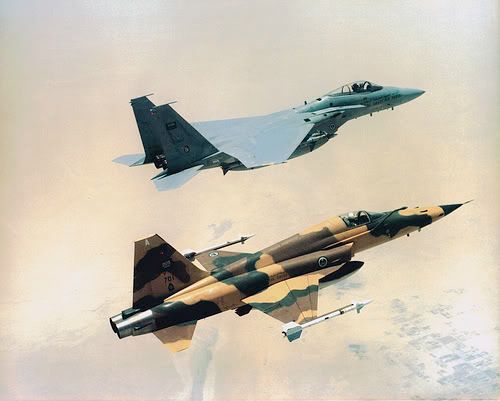 Forum Image: http://i631.photobucket.com/albums/uu38/kilomuse/Fighters%20and%20Interceptors/F-5%20Freedom%20Fighter%20and%20F-5E%20Tiger%20II/701F-15.jpg