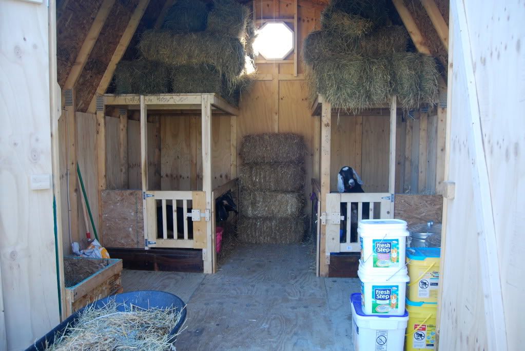 small goat barn