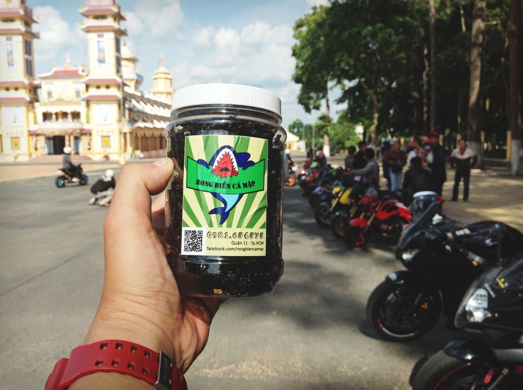 HCM - Rong biển Cá Mập, Rong biển sấy hảo hạng - 0981 654575 - 9