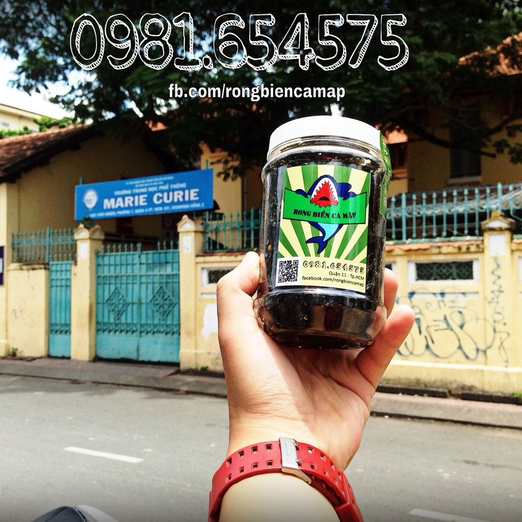 HCM - Rong biển Cá Mập, Rong biển sấy hảo hạng - 0981 654575 - 7