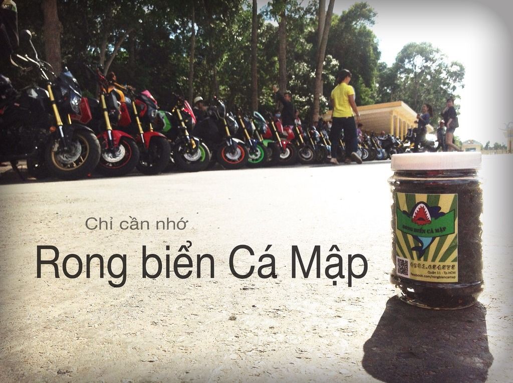 HCM - Rong biển Cá Mập, Rong biển sấy hảo hạng - 0981 654575 - 12