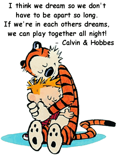 Calvin Hobbes Sleeping