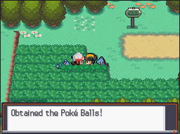 [PokeCommunity.com] Monotype Challenge (Ver. 2.0)