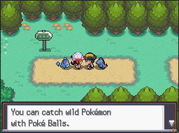 [PokeCommunity.com] Monotype Challenge (Ver. 2.0)