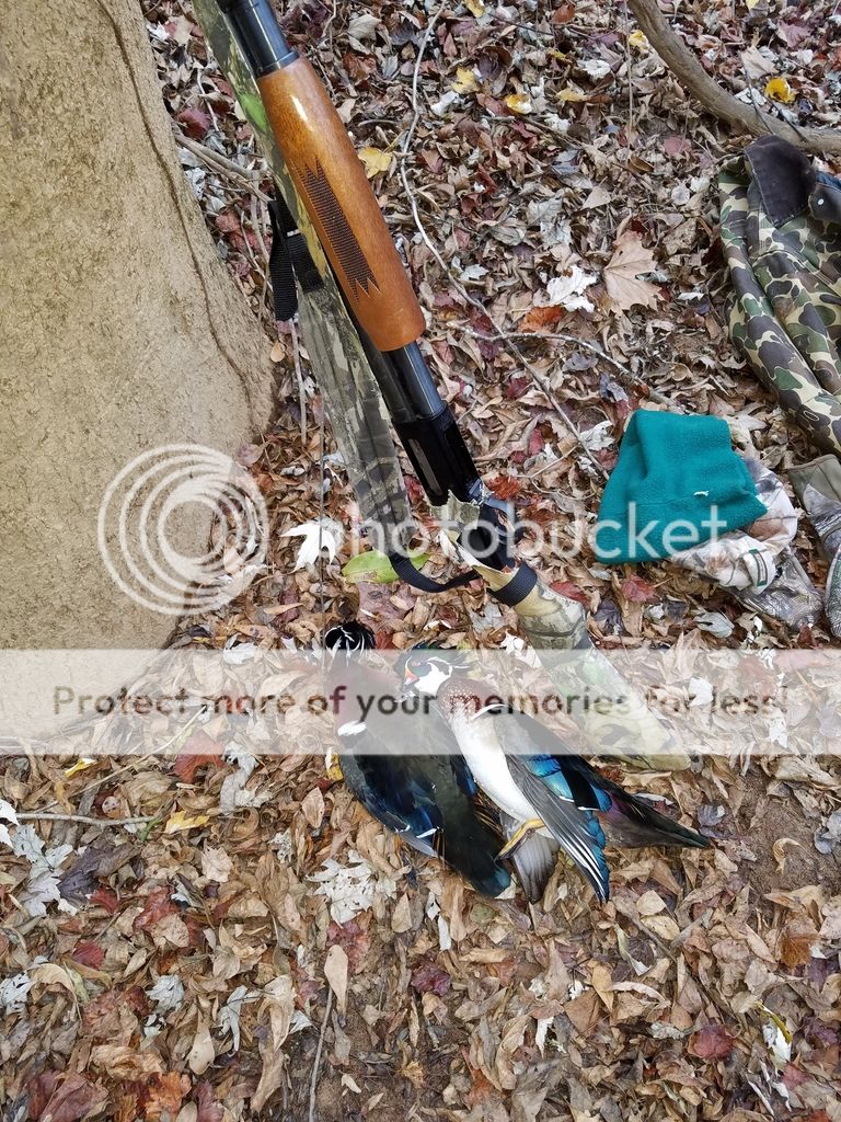 Wood duck hunting 101 success! 24hourcampfire